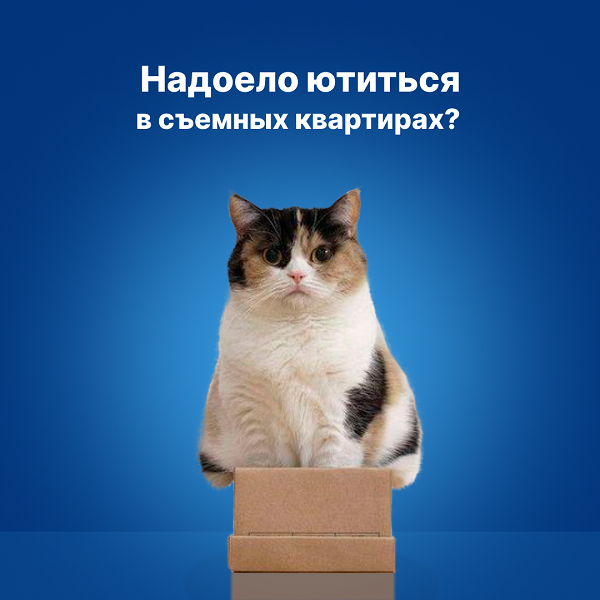 слайдер 2