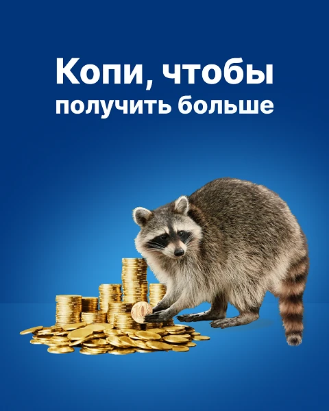 слайдер 6