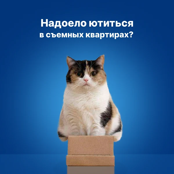 слайдер 2