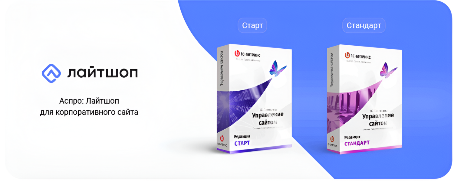 Запуск сайта без границ